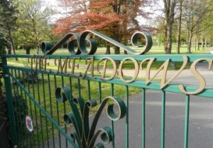 The Meadows